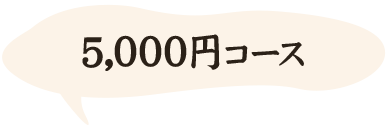 5,000円コース