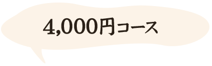 4,000円コース