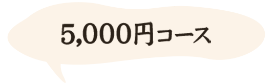 5,000円コース